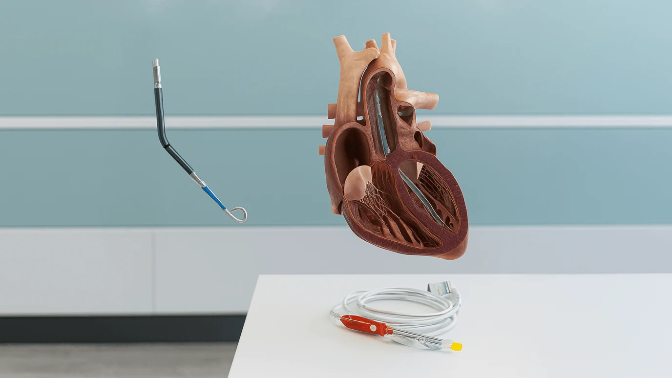 Precision in Practice: Why Multimodality Immersion is the Next Step for Mastering Intracardiac Interventions